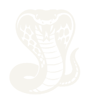 OPHIDIANTAC cobra logo